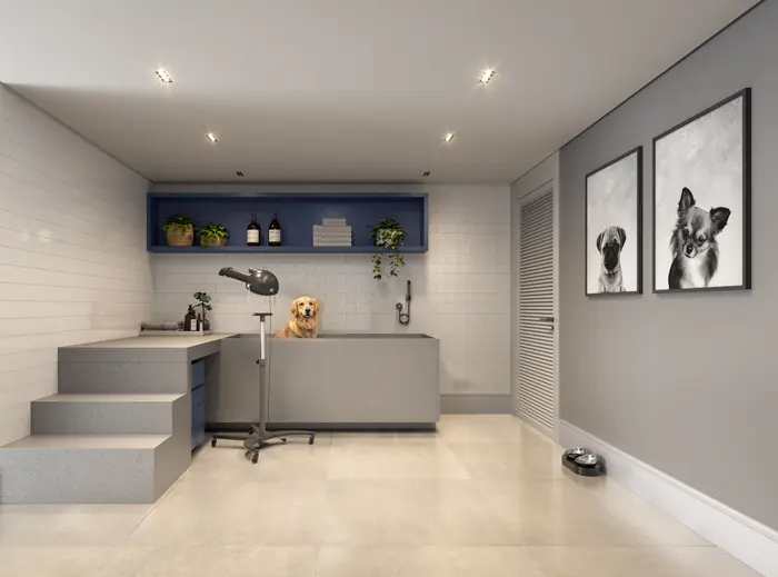 Sala de banho para pets, com cuba elevada, escada de acesso e quadros de cachorros na parede